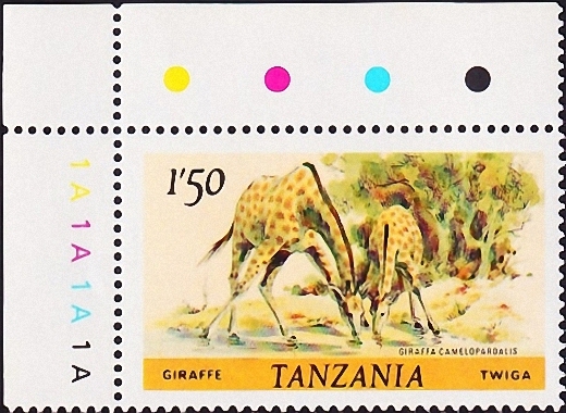  1985  .  (Giraffa camelopardalis) .  20,0 . (4) 